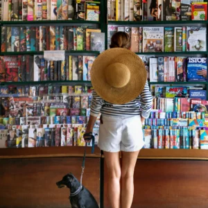 Revistas